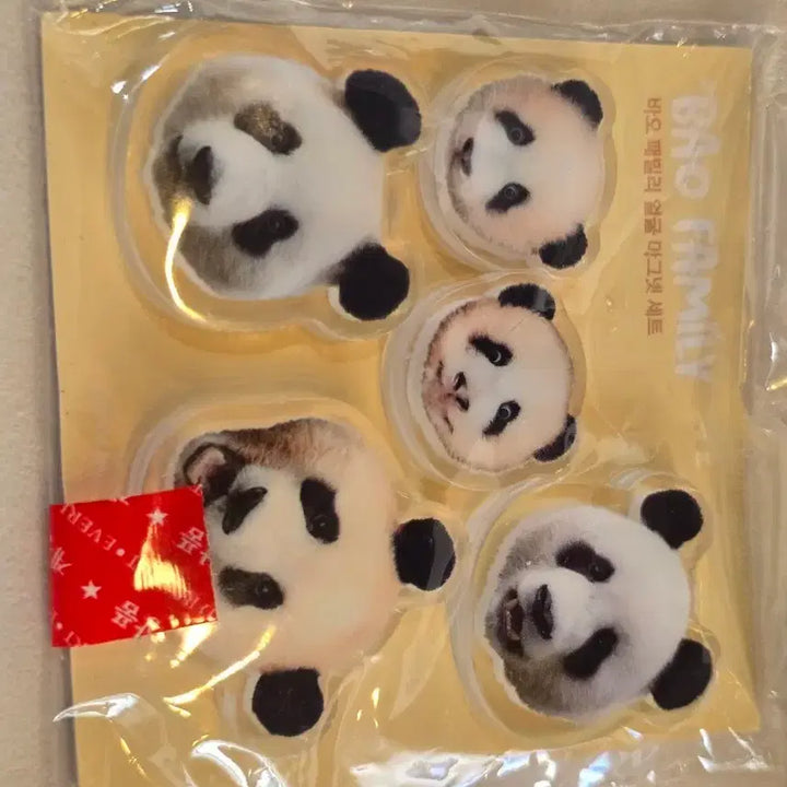 [BUNJANG] Bao Family Panda Face Acrylic Magnet Set / 판다,바오패밀리,얼굴,아크릴마그넷