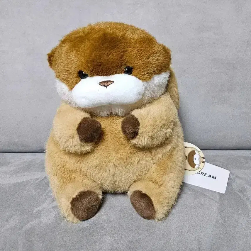[BUNJANG] Woosoo Woosoo Chan Dark Brown Otter Medium Plush 27cm / 정품 속았지 우소우소짱 다크브라운 수달 27cm 중형 인형