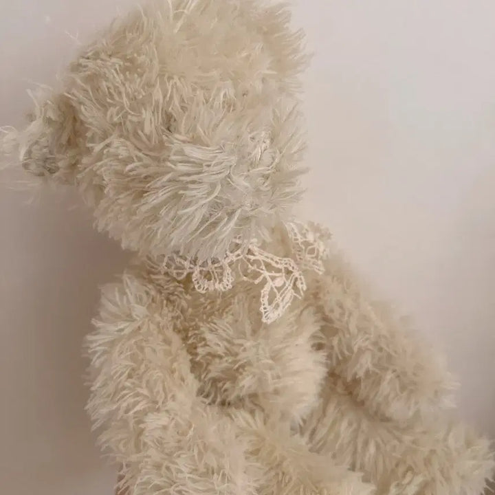 [BUNJANG] French Vintage Teddy Bear / 프랑스 빈티지 곰돌이