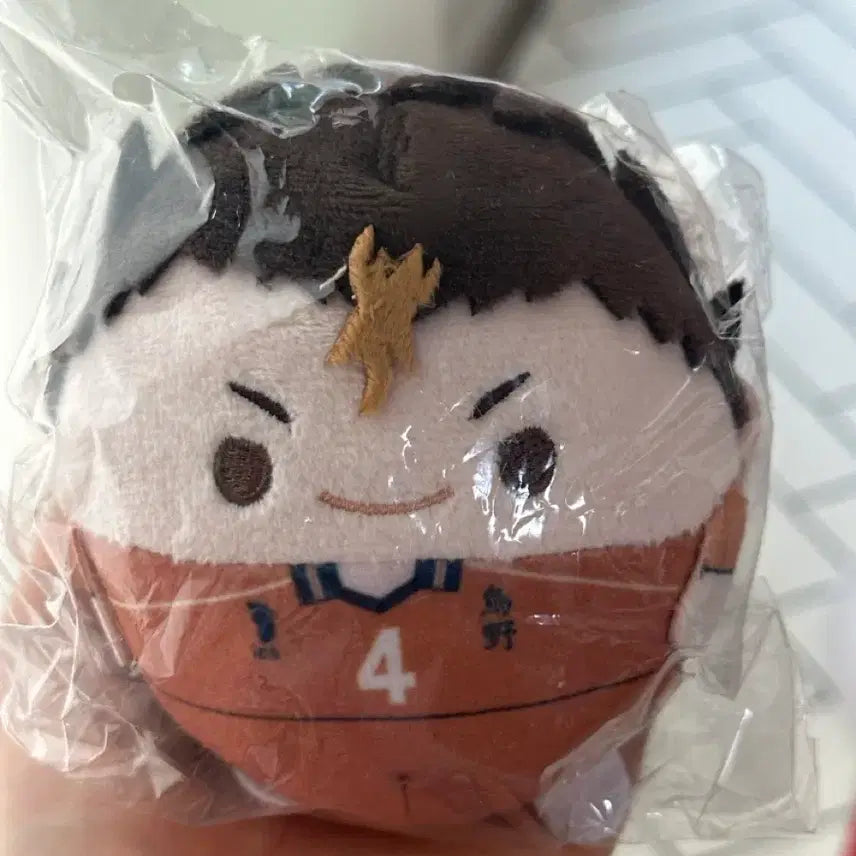 [BUNJANG] Haikyuu!! Fuwakororin Nishinoya Plush / 하이큐 후와코로링s 니시노야 누이 인형