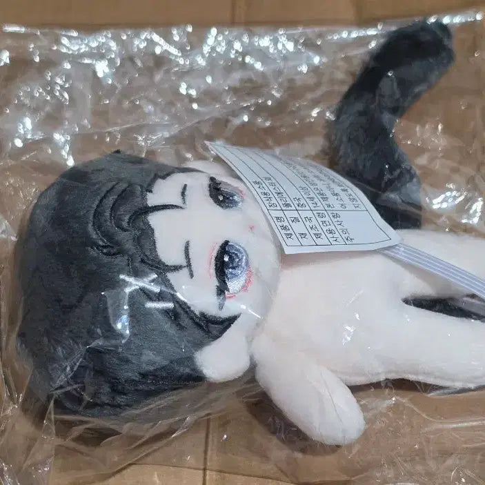 [BUNJANG] Agacheongnyeo Cheongnyeo Doll + Wooble Kokul 5-Generation (Debut or Die Disease) / 데뷔못하면죽는병걸림 데못죽 아가청려 청려인형 +우블 코컬 5깅