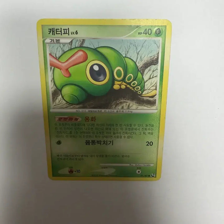 [BUNJANG] Caterpie Pokemon Card / 캐터피 포켓몬카드