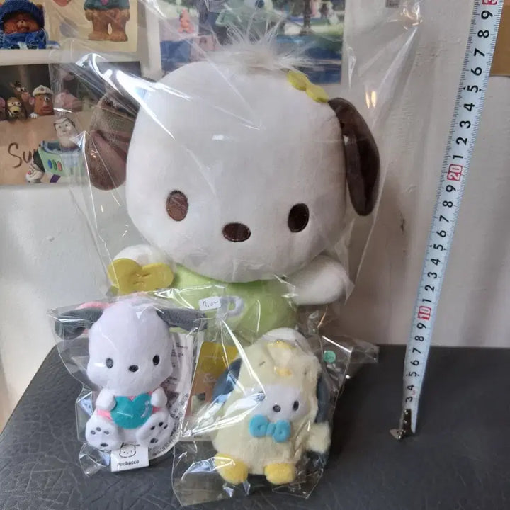 [BUNJANG] Pochacco Doll Bundle Set / 포차코인형 일괄