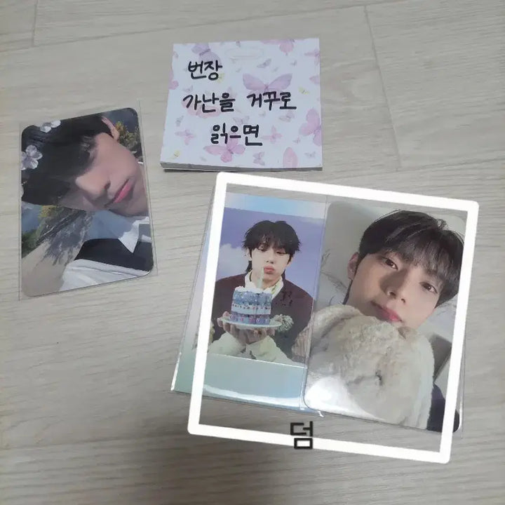 [BUNJANG] Flare U Choi Ripwoo Youth Error 1st Gen Studio Photocard / 플레어유 flare u 최립우 유스에러 1주차 공방 포카 포토카드 양도 판매
