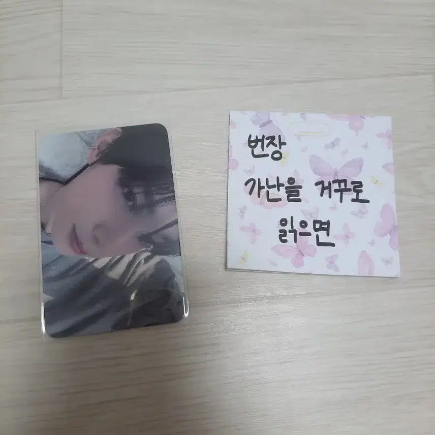 [BUNJANG] Flare U Choi Lipwoo 2nd Week Studio Photocard / 플레어유 flare u 최립우 립우 유스에러 2주차 공방 포카 양도 판매