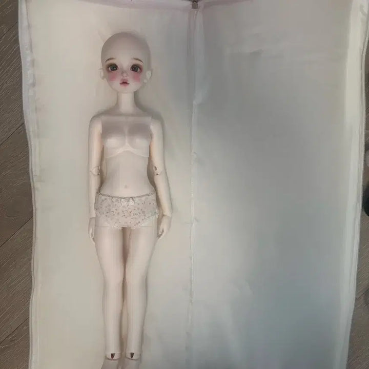 [BUNJANG] Chicabi Wendy Baby Whitening Doll (Original) / 치카비 웬디베이비 미백 본체