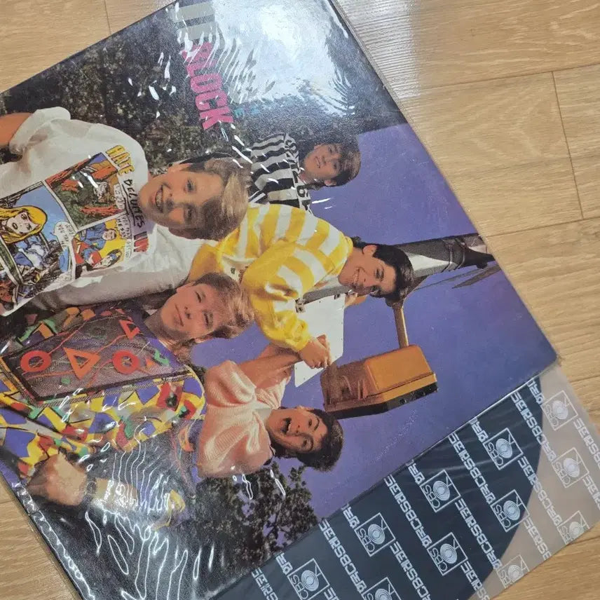[BUNJANG] New Kids on the Block LP Album / 뉴키즈온더블록 LP 앨범