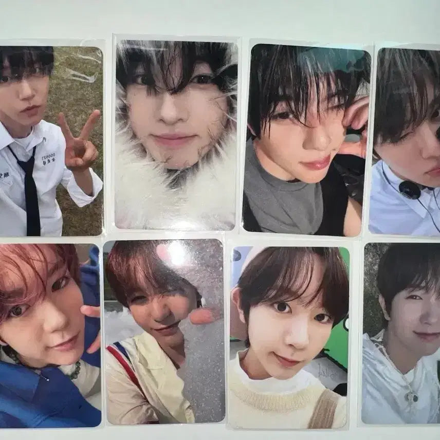 [BUNJANG] NCT WISH Photocard Bundle Set (Sakuya, Jaehee, Sion, Ryo) / 엔시티 위시 포카 일괄로 판매합니다!( 사쿠야, 재희, 시온,료)