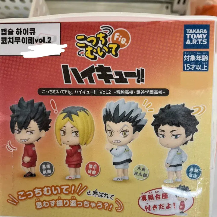 [BUNJANG] Haikyuu!! Coach Muite Ver. 2 Bokuto / 하이큐 코치무이테 ver 2