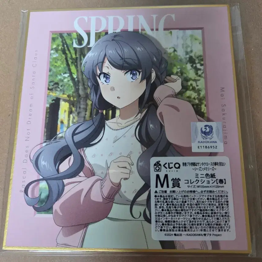 [BUNJANG] Seishun Buta Yarou Sakuraajima Mai Shikishi / 청춘 돼지 사쿠라지마 마이 색지 청춘돼지