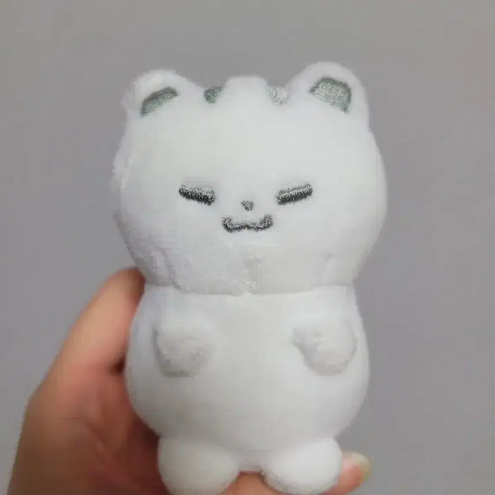 [BUNJANG] SEVENTEEN HOSHI King Hoshi Doll Bundle Set / 세븐틴 호시 인형 왕호찌 대왕호찌 홋토리 일괄 양도 판매
