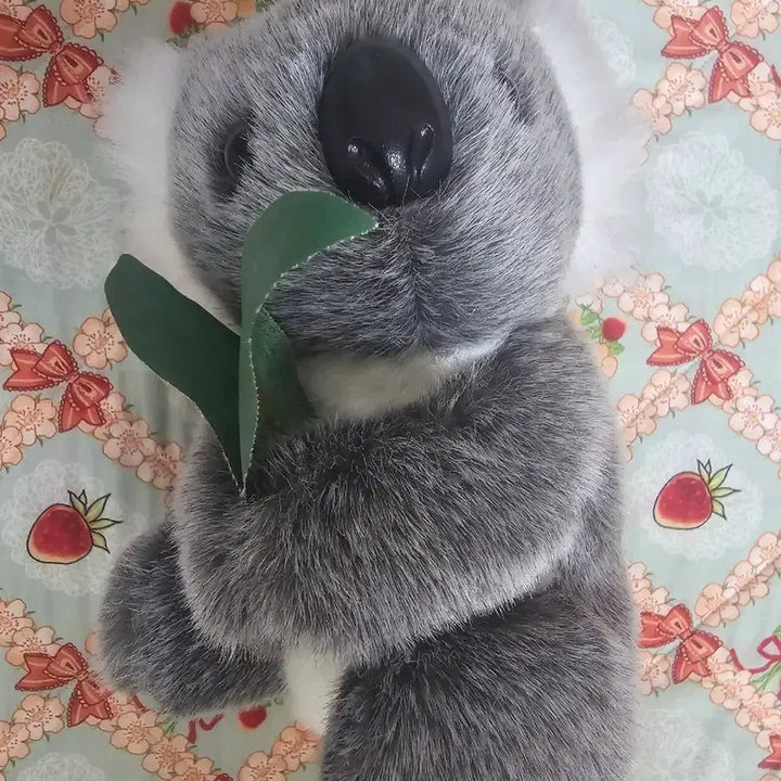 [BUNJANG] Australian Koala Plush Toy / 호주산 코알라 인형