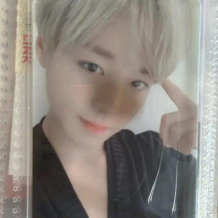 [BUNJANG] Park Jihoon Lightstick Photocard / 박지훈 응원봉 뽑봉 (포카)