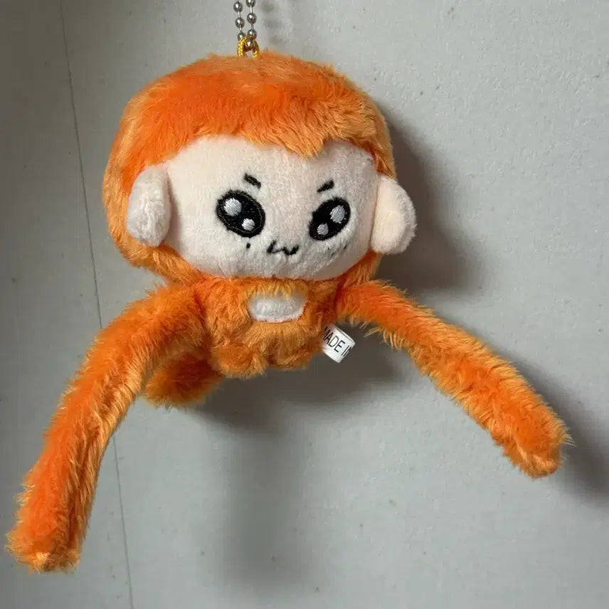 [BUNJANG] RIIZE Sohee Plush Doll / 이끼끼 라이즈 소희 인형