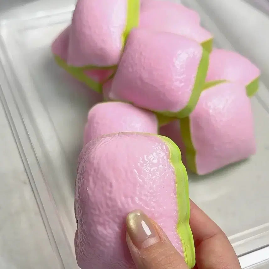 [BUNJANG] Slangi Guava Bread Plush / 구아바식빵 슬랑이