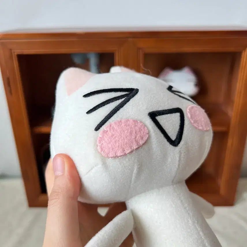 [BUNJANG] Dokodemo Issho Toro Plush / 도코데모잇쇼 토로 인형