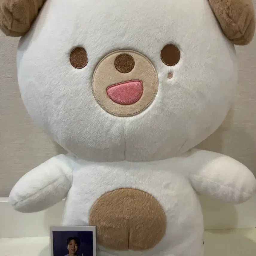 [BUNJANG] JYP JYP Multipack Photocard / 원가이하) 자쁘멀 돈