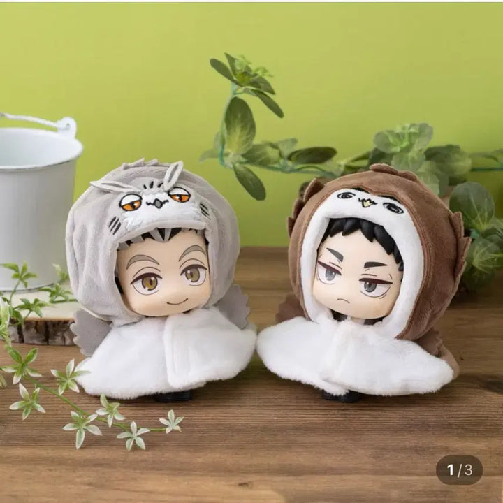 [BUNJANG] Haikyuu Bokuto Akaashi Uniform Look Up + Poncho Set (Sealed) / (미개봉) 하이큐 보쿠토 아카아시 교복 룩업 + 판초 2종 일괄
