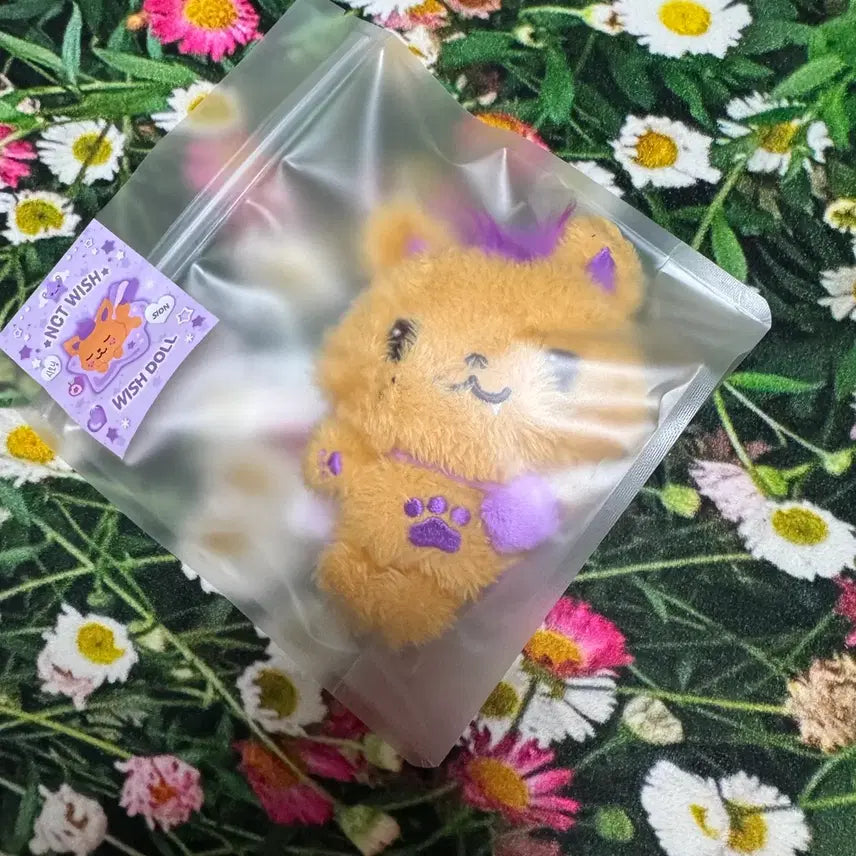 [BUNJANG] NCT WISH Sicheng "Wish Doll" Photocard / 미개봉) 엔시티위시 위시돌 시오닝 시온