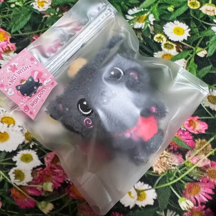 [BUNJANG] NCT WISH Wish Doll Kuri Riku / 미개봉) 엔시티위시 위시돌 쿠리 리쿠