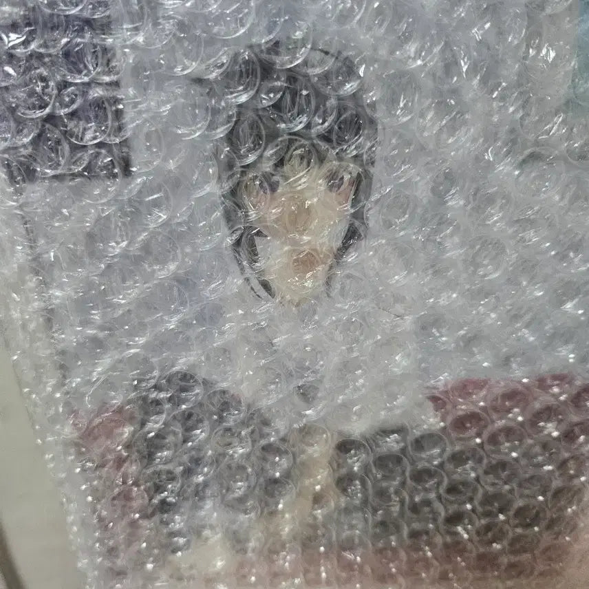 [BUNJANG] Lycoris Recoil Takina Inoue Relax Time Figure (Sealed) / 리코리스 리코일 타키나 릴렉스 타임