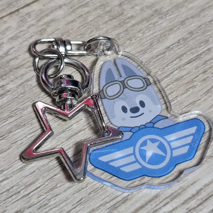 [BUNJANG] Stray Kids Pilot Secret Keyring Wolfchan Bang Chan / 스키주 파일럿 시크릿 키링 울프찬 양도(원가이하) 방찬 스키즈