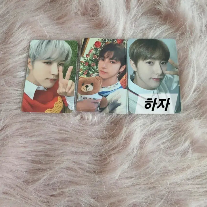 [BUNJANG] NCT Dream Renjun Bundle Set Photocard / 엔시티 드림 런쥔 포카 일괄로 판매합니다