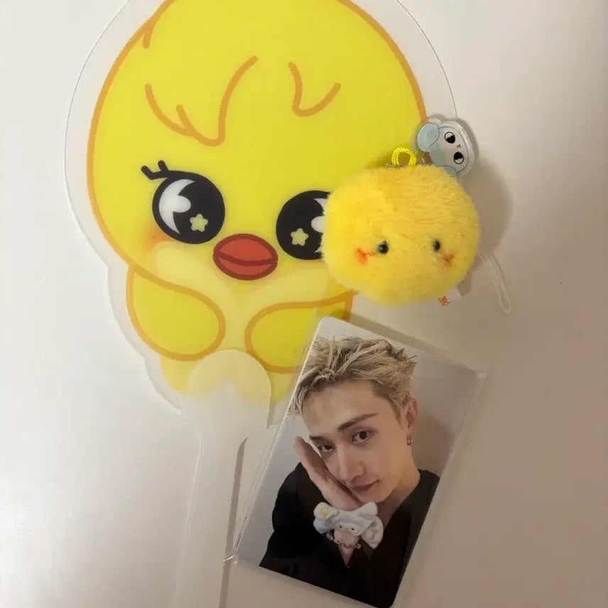[BUNJANG] Stray Kids Run 2024 First Concert Photocard / 스키즈 런잇 첫첫 7/25 첫콘 포카 스테이존 입장기프트 뽁아리 스트레이키즈