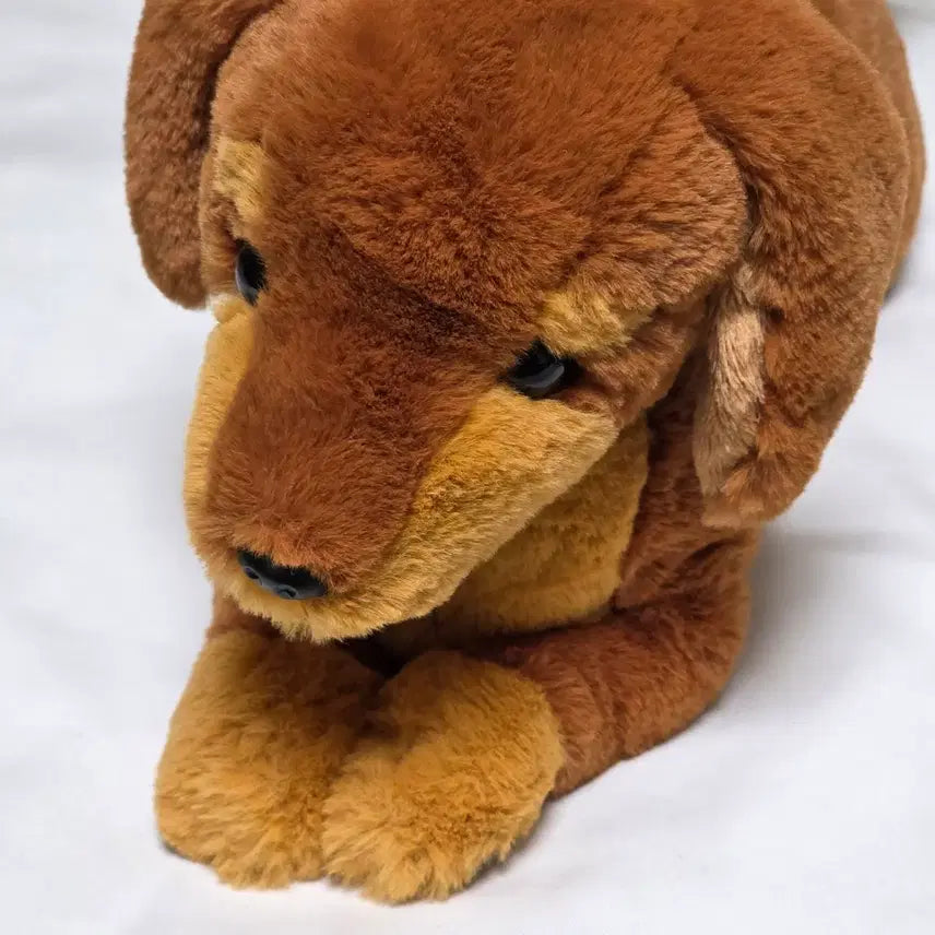 [BUNJANG] Sunlemon Dachshund Plush / 선레몬 닥스훈트 인형