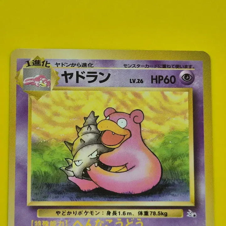 [BUNJANG] Pokemon Card 1996 S-Rank Slowpoke &amp; Slowbro Fossil First Edition Japanese / 포켓몬카드 1996 s-급 야돈 야도란 화석 초판 일판 일본판