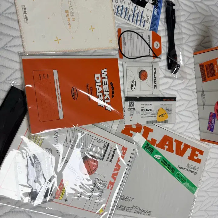[BUNJANG] PLAVE 2024 Season&