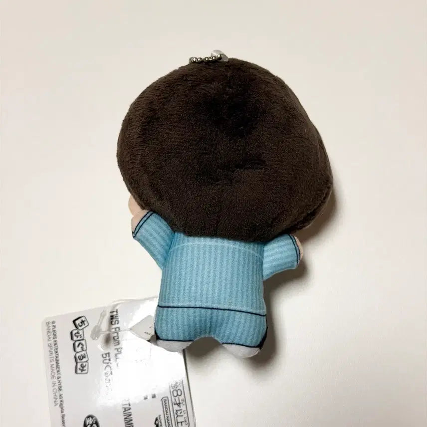 [BUNJANG] TWS Chibi Gurumi Shiyu Doll / 투어스 일본 인형 뽑기 반다이 치비구루미 신유