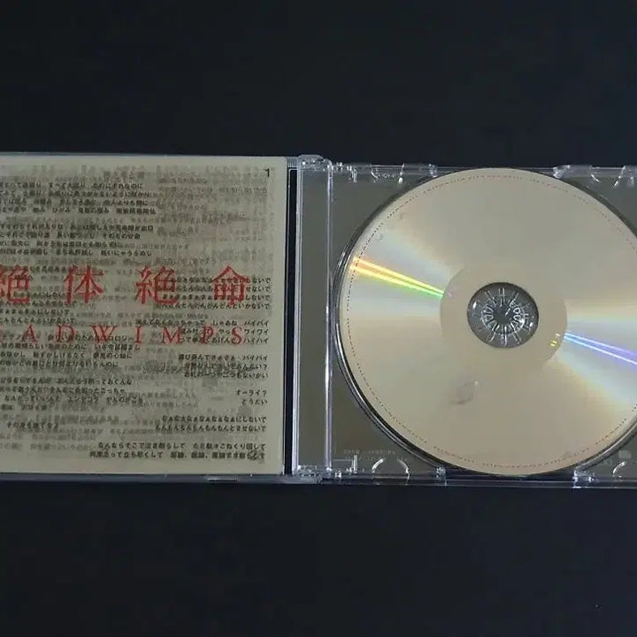 [BUNJANG] RADWIMPS Zettai Zetsumei Limited Edition Album / RADWIMPS 래드윔프스 6집 앨범 절체절명 한정반