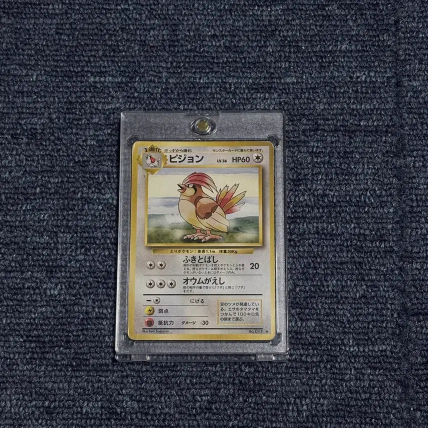 [BUNJANG] Pigeon (C-Grade) First Edition Card (1996) / C급 일판 피죤 초판