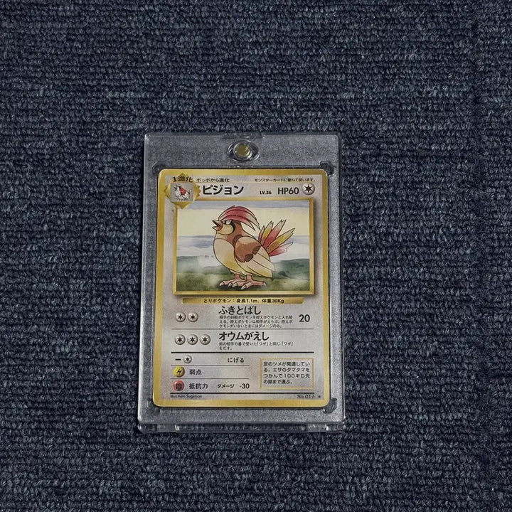 [BUNJANG] Pigeon (C-Grade) First Edition Card (1996) / C급 일판 피죤 초판