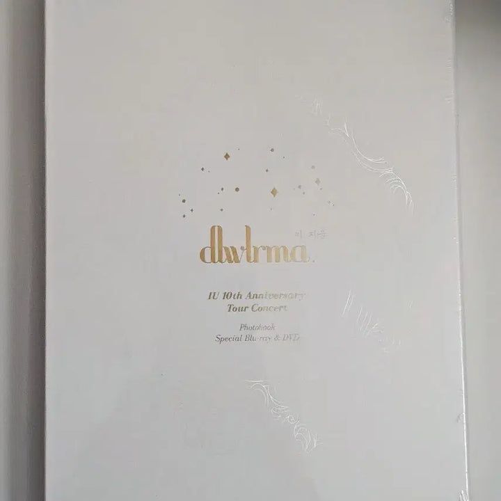 [BUNJANG] IU 10th Anniversary Tour Concert &