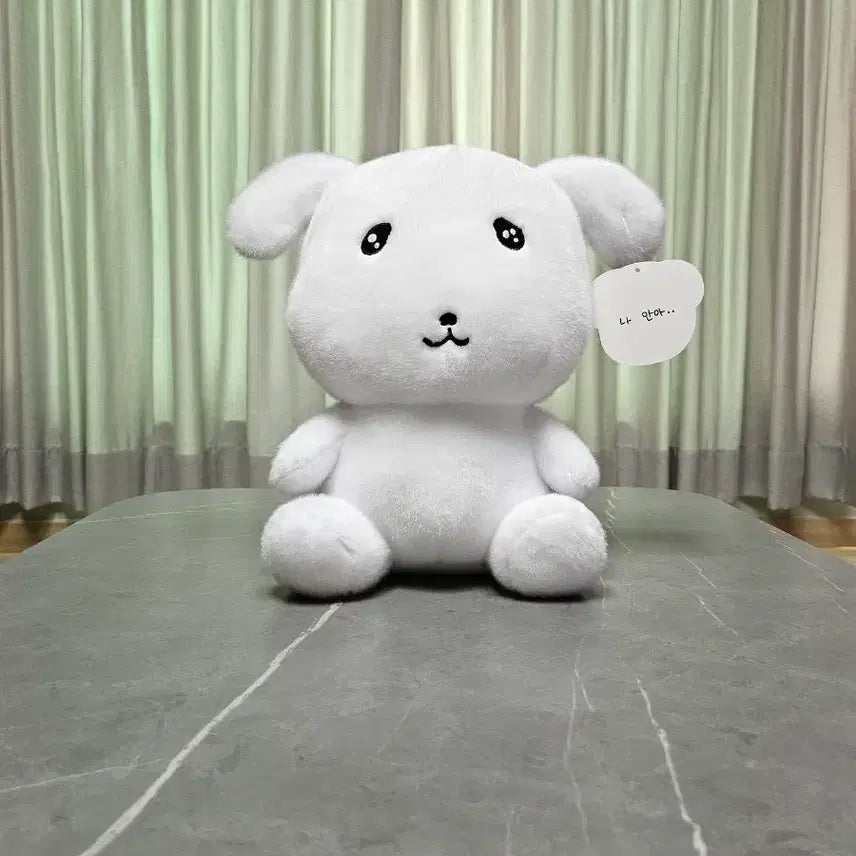 [BUNJANG] Ganadi Doll &amp; Keyring Set / 가나디