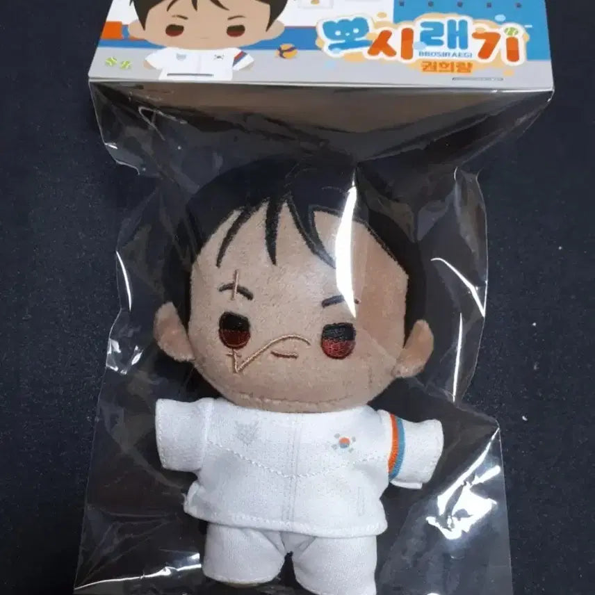 [BUNJANG] Kal과Kkot Ppociraegi Doll Kwon Hee-ryang (BL Manga) / 칼과꽃 뽀시래기 인형 미개봉 새상품 BL만화 웹툰 디티알 징크스