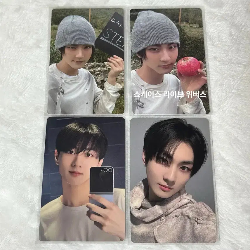 [BUNJANG] ENHYPEN Jungwon Bundle Set Photocard / 엔하이픈 정원 포카 일괄 양도