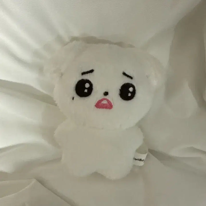 [BUNJANG] IVE Wonyoung Nyoungie Doll Bundle Set / 원가 미만, 폭덤 (공굿+비공굿) 아이브 원영 녕티 인형