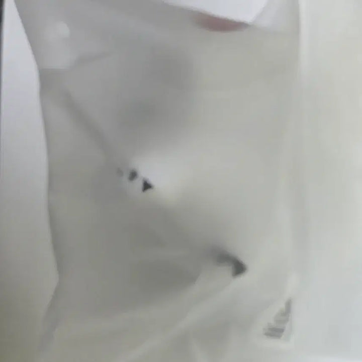 [BUNJANG] Gwedam Chulgeun "Desk Lizard Friend" Plush Doll / 괴담출근 괴출 책상 위 도마뱀 친구 인형