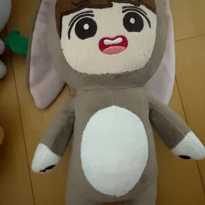 [BUNJANG] EXO Baekhyun, D.O. (Doh Kyung Soo) Plush Dolls / 엑소 인형 백현 인형 디오 인형 도경수 인형 아큐이 아큥이 큥이 변백현 인형