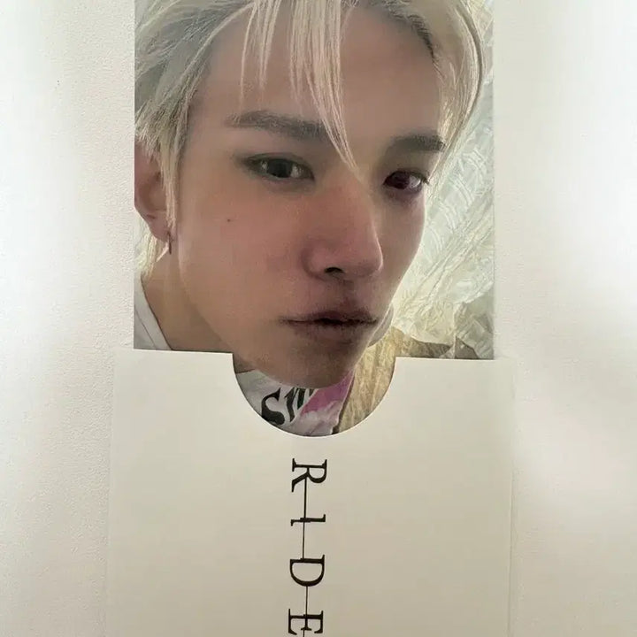 [BUNJANG] Evan Official Photocard / 에반 공방포카 양도