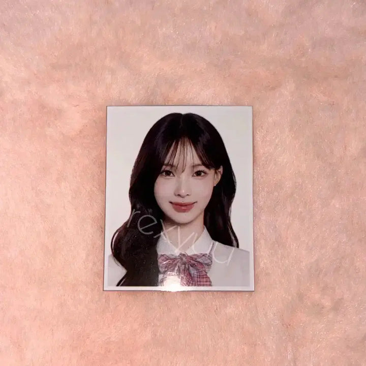 [BUNJANG] Lisene Proof Photo Set Minami Woni Jina / 판매완료