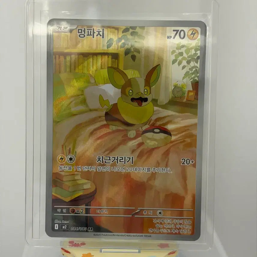 [BUNJANG] Pokemon AR 5 Card Bundle Set / [포켓몬카드] AR 5장 일괄 Cset