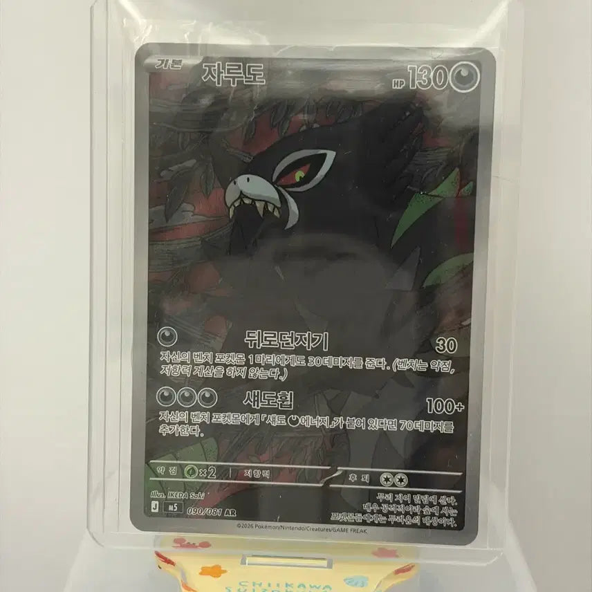 [BUNJANG] Pokemon Cards AR 5 Card Bundle Set / [포켓몬카드] AR 5장 일괄 Dset