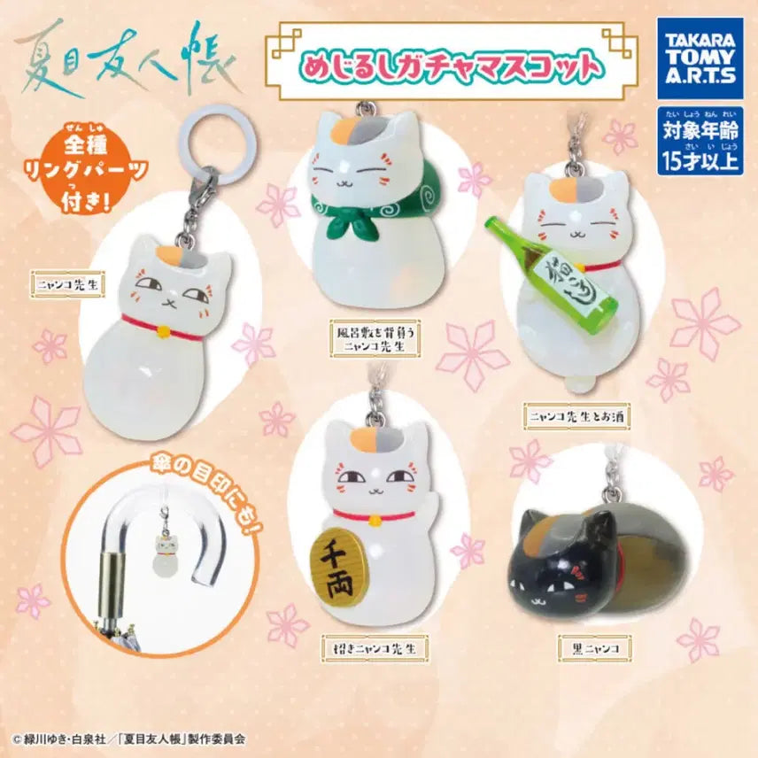 [BUNJANG] Nekomonogatari Kuro Nyanpire Nyan-ko-sensei Special Figure (Sealed) / 냥코선생 메지루시 미개봉