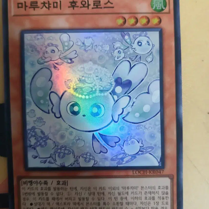 [BUNJANG] Maruchami Fuwaros Nyarths Rare Monster Card Bundle Set / 마루챠미 후와로스 푸루리아 냐루스 rare 일괄