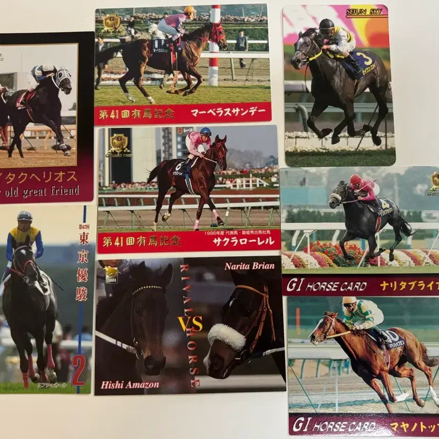[BUNJANG] Uma Musume Original Horse Racehorse Trading Cards (Pre-2000s) / 우마무스메 원본마 경주마 트레이딩카드 3
