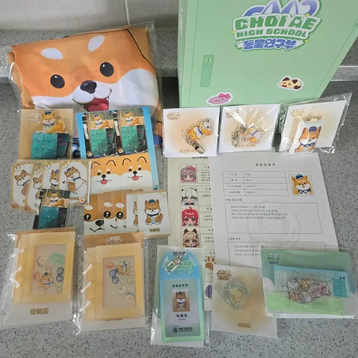 [BUNJANG] ChoiGo High School Animal Research Club Big Head Full Set Bundle / 최애고등학교 동물연구부 빅헤드 풀세트 일괄 판매